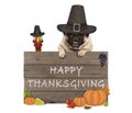 Funny turkey and pug dog wearing pilgrim hat for Thanksgiving day and wooden sign with text happy thanksgiving