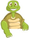 Funny Turtle