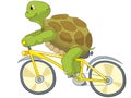 Funny Turtle. Biker.