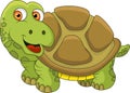 Funny turtle cartoon