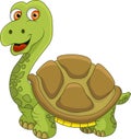 Funny turtle cartoon