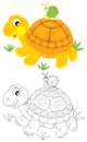 Tortoise and snail Royalty Free Stock Photo