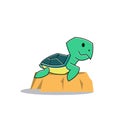 Funny Turtle Tortoise on Rock Exotic Reptile Cartoon