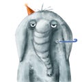 funny ugly elephant is ready to spoil the party