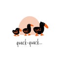 Funny vector illustration of three walking ducks. Phrase quack Quack.