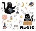 Funny vector magic set. Witchcraft and occultism symbols: black cat, skull, Ouija board,  moon, crystals, stars, tarot, test-tubes Royalty Free Stock Photo