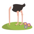 Funny vector ostrich hiding his head