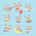 Funny vector set of grumpy cat Royalty Free Stock Photo