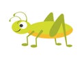 Funny vigorous grasshopper with big eye and long legs