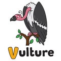 Funny vulture, illustration for ABC. Alphabet V