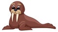 Funny walrus. Cartoon arctic sea animal character