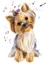 Funny watercolor dog illustration. Yorkshire`s portrait