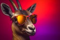 Funny wearing sunglasses in studio with a colorful and bright background. Generative AI