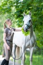 Funny white horse with green maple leaves bouquet in mouth