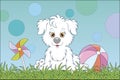 Funny white puppy with toys Royalty Free Stock Photo