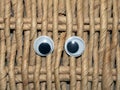 A Funny Wiggle Google Eyes on Fabric Silly Background Royalty Free Stock Photo