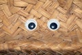 Funny Wiggle Google Eyes on Fabric Silly Background