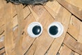 Funny Wiggle Google Eyes on Fabric Silly Background Royalty Free Stock Photo