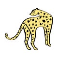 Funny wild cat leopard. Cute kids print for t-shirt. Vector illustration