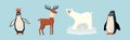 Funny Wild Polar Animals as Fauna of Arctic Vector Set