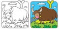 Funny wild yak coloring book. Alphabet Y