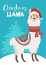 Funny winter card with a cartoon llama Vector Christmas illustration with text. New Year`s poster.