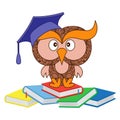 Funny wise owl sitting on the heap of books