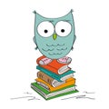 Funny wise owl standing on the pile of books wearing shoes