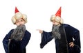 The funny wise wizard isolated on the white Royalty Free Stock Photo