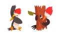 Funny Woodpecker Bird Set, Woodland Bright Woodpecker Cardinal Bird Cartoon Character Vector Illustration