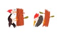 Funny Woodpecker Bird on Tree Trunk Set, Woodland Bright Bird Cartoon Vector Illustration