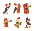 Funny Woodpecker Character as Comic Woodland Flying Creature Vector Set