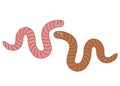 Funny worms in the set. Royalty Free Stock Photo