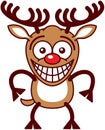 Funny Xmas reindeer feeling embarrassed