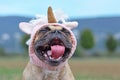 Funny yawning French Bulldog dog with mouth wide open wearing pink unicorn hat costume