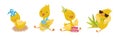 Funny Yellow Duckling Engaged in Different Activity Vector Set