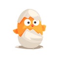 Funny yellow newborn chicken in broken egg shell