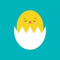 Funny yellow newborn chicken in broken egg shell kawaii