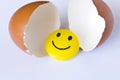 Funny yellow smiley toy in an egg-shell. On white background