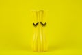 Funny yellow vase with eyes