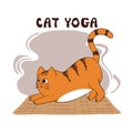 Funny yoga cat vector illustration. Cartoon yoga for kids