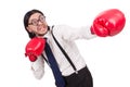 Funny young businessman with boxing gloves isolated Royalty Free Stock Photo