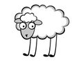 Funny young sheep