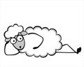 Funny young sheep