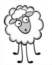 Funny young sheep