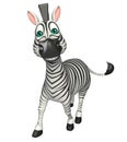 Funny Zebra cartoon character Royalty Free Stock Photo