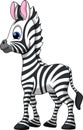 Funny zebra cartoon