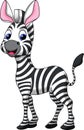 Funny zebra cartoon Royalty Free Stock Photo