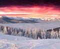 Funtastic winter morning in mountains Royalty Free Stock Photo