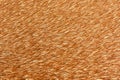 Fur Animal Brown Textures & Patterns Abstract Fur For Background Royalty Free Stock Photo